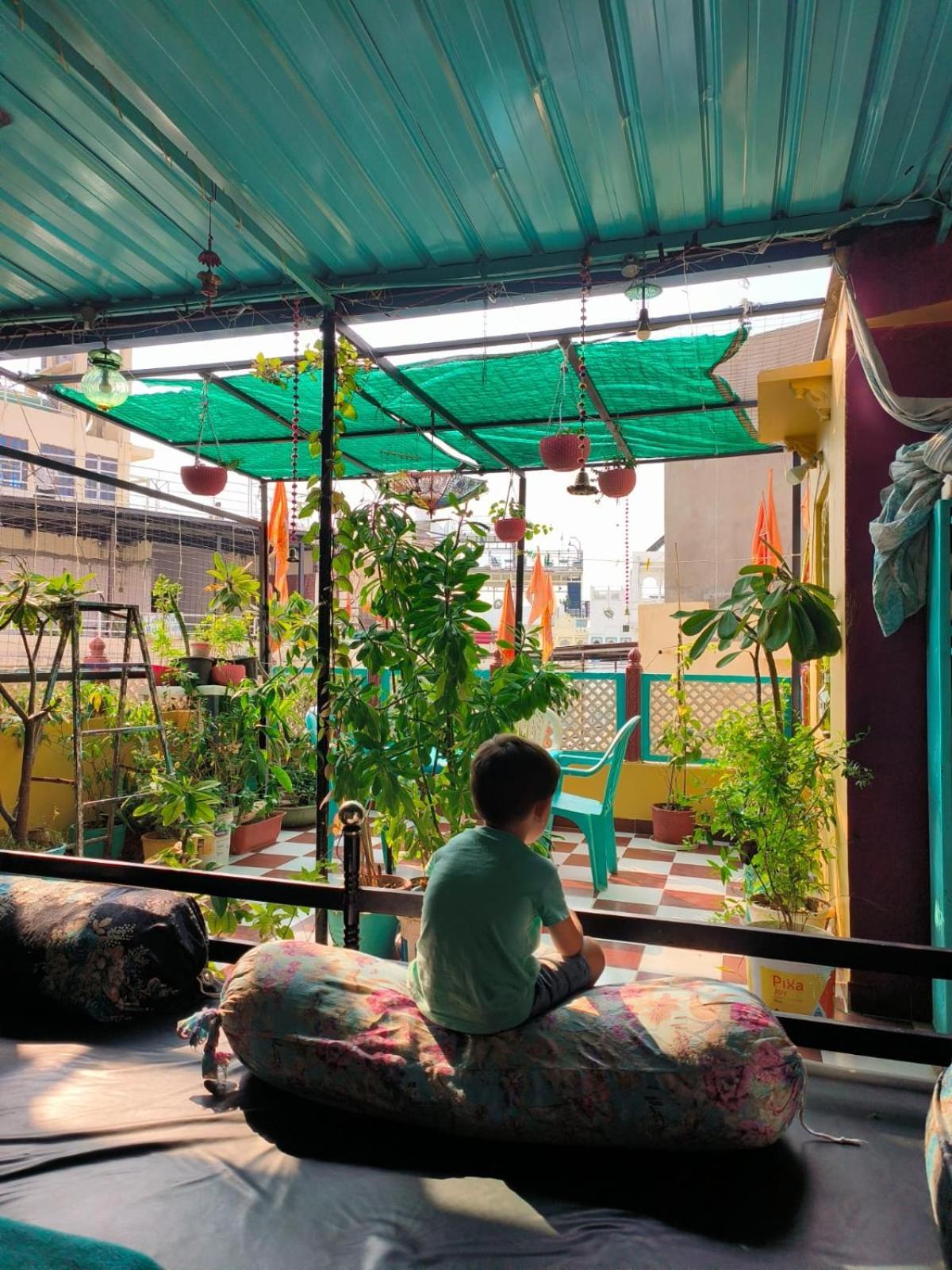 Black Pepper Home Stay Udaipur Eksteriør billede