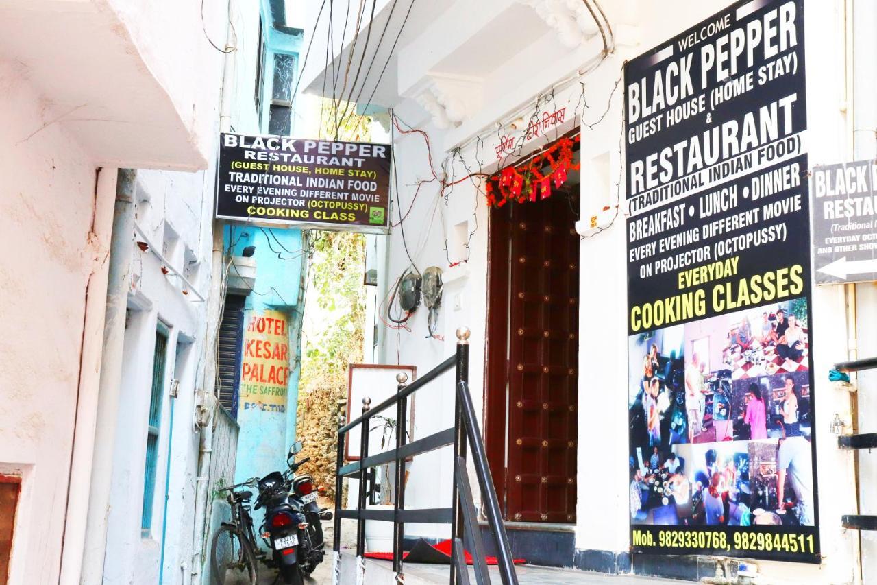 Black Pepper Home Stay Udaipur Eksteriør billede